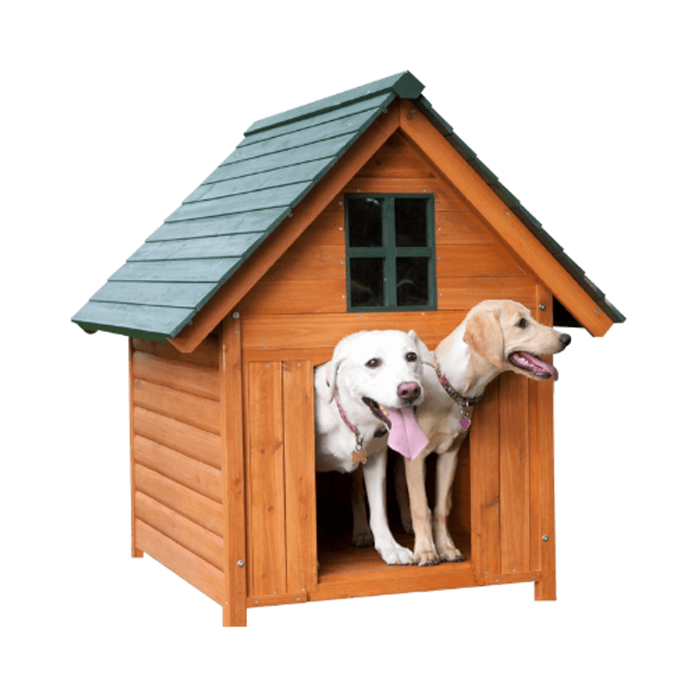 Two dogs relaxing in a cozy doghouse