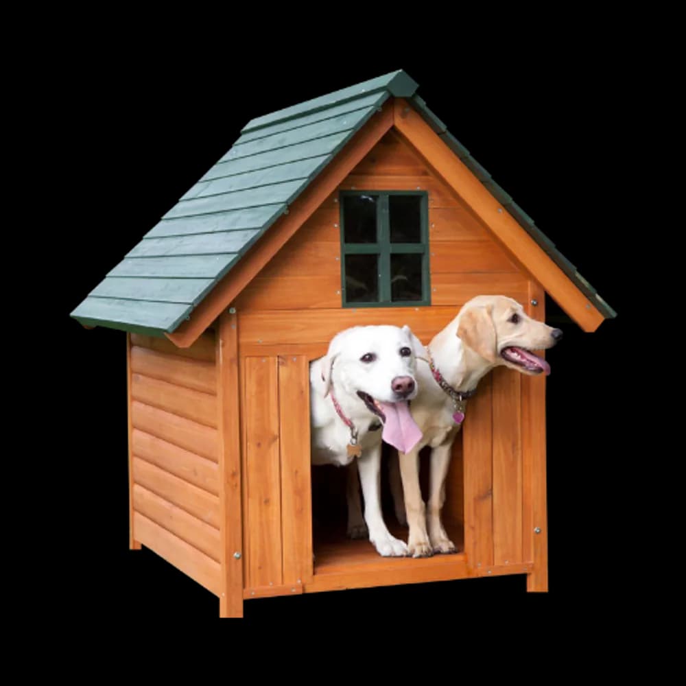 Dos perros relajándose en una acogedora casita para perros.